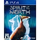 北方之靈 Spirit of the North - PS4 中英文美版 product thumbnail 2