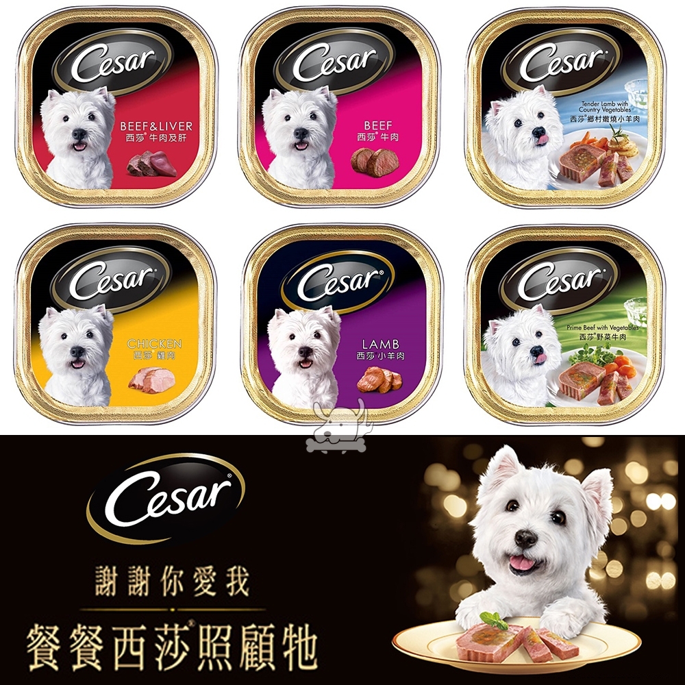 Cesar西莎 犬用餐盒 100g 24入