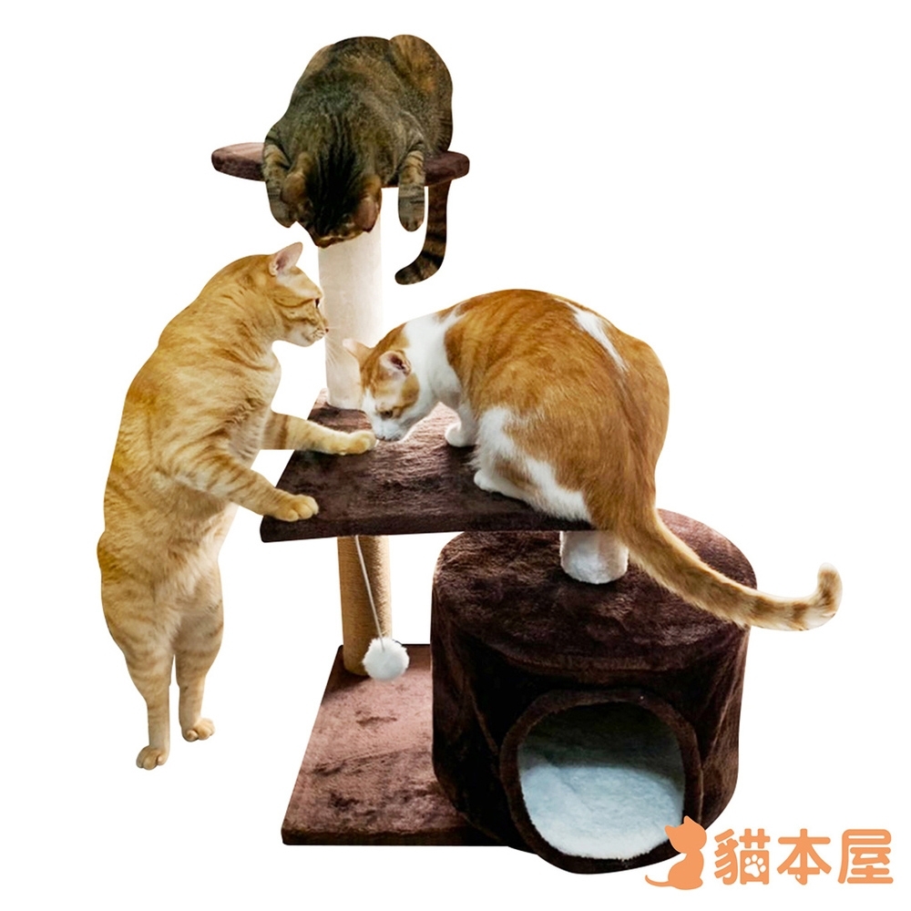 貓本屋 磨爪/玩樂/貓窩 三層貓爬架/貓跳台 product image 1