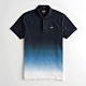 Hollister HCO 短袖 polo 藍色 1338 product thumbnail 1