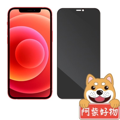 阿柴好物 Apple iPhone 12 mini 滿版防窺玻璃貼