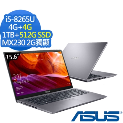 ASUS X509FJ 15吋筆電 i5-8265U/8G/1TB+512G/MX230特