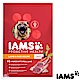 IAMS 愛慕思 健康優活 羊肉+米 成犬糧 15磅 2包組 product thumbnail 1
