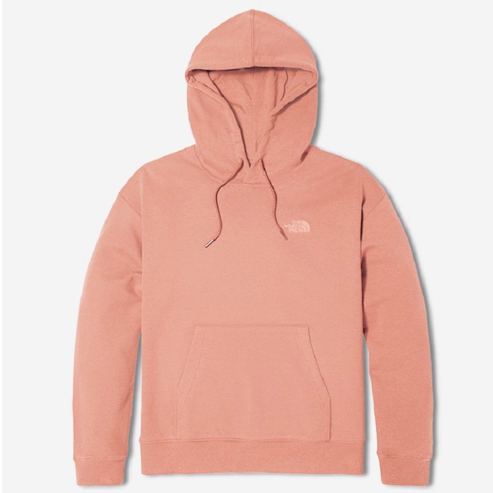 The north face logo on sale hoodie