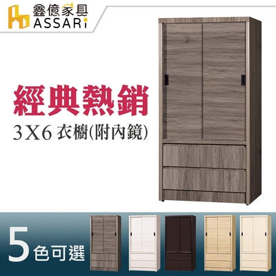 ASSARI-3*6尺推門二抽一鏡衣櫃-附鏡(木芯板材質)