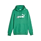 PUMA 流行系列No.1 Logo 男女連帽上衣-綠-62195186 product thumbnail 1