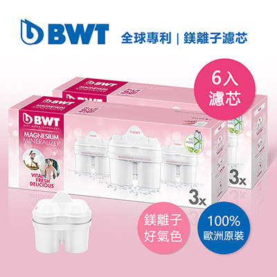 BWT德國倍世 Mg2+鎂離子8周長效濾芯-六入組