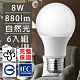 歐洲百年品牌台灣CNS認證LED廣角燈泡E27/8W/880流明/自然光6入 product thumbnail 1