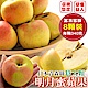 【天天果園】日本青森名月蜜蘋果(每顆約340g) x8顆 product thumbnail 1