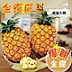 【果之蔬】高雄大樹金鑽鳳梨20斤(8-10支) product thumbnail 1