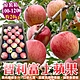 【天天果園】智利富士蘋果原裝箱20kg(約100-120顆) product thumbnail 1