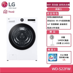 LG樂金 WD-S22FW 22公斤WiFi 蒸洗脫 滾筒洗衣機 典雅