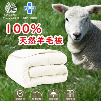 【家購網嚴選】100%頂級天然羊毛被 1入(180x210cm/入)