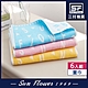 毛巾 三花SunFlower字母派對童巾(6入)_混色 product thumbnail 1