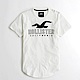 Hollister HCO 短袖 T恤 白色 0971 product thumbnail 1