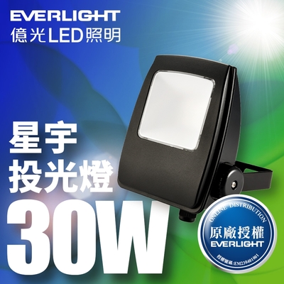 【億光EVERLIGHT】LED 星宇 30W 全電壓 IP65 投光燈(白光/黃光)