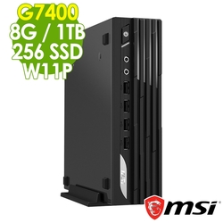 MSI PRO DP21 13M-627TW (G7400/8G/1TB+256SSD/W11P)