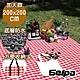 韓國SELPA 加大繽紛野餐墊 露營 地墊 防潮墊(三色任選) product thumbnail 1