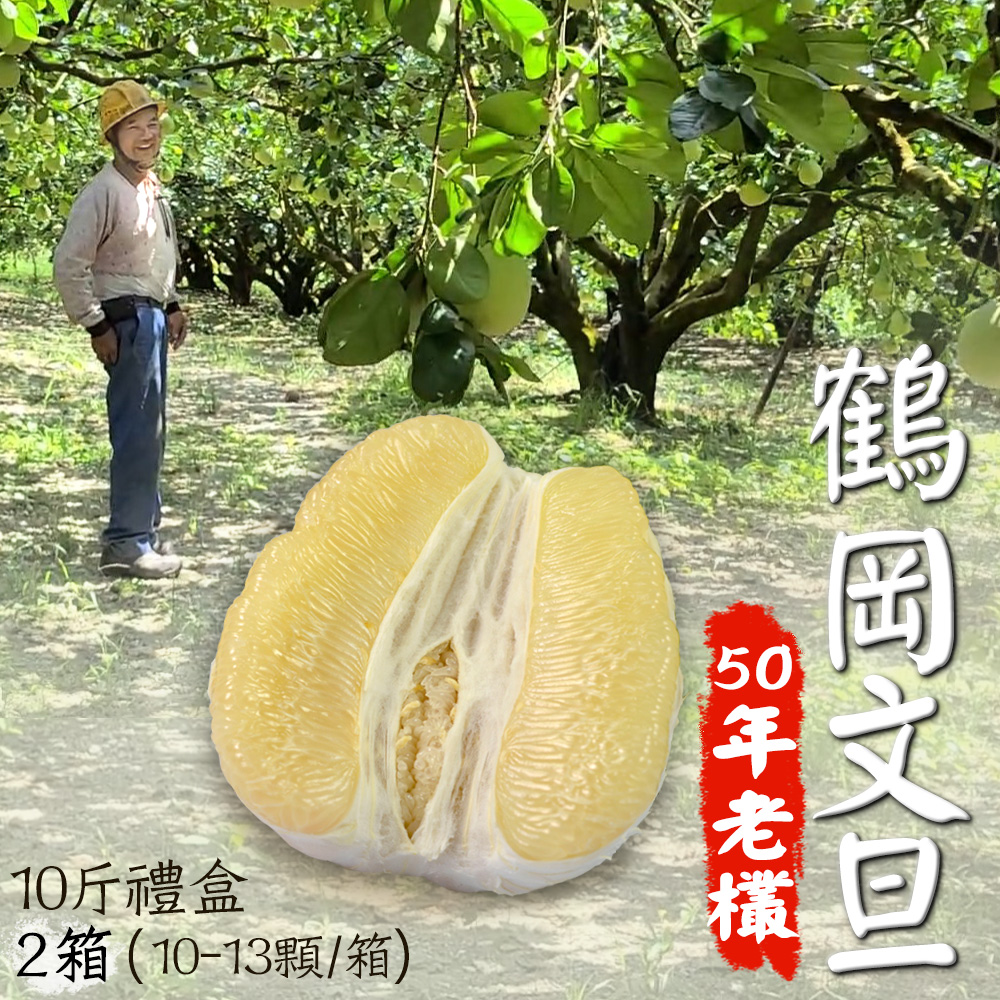 【鶴岡嚴選】老欉50年花蓮鶴岡特優文旦10斤禮盒2箱(10-13顆/箱)