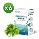 【達摩本草】法國53%DHA植物藻油x6盒 (60顆/盒) product thumbnail 1
