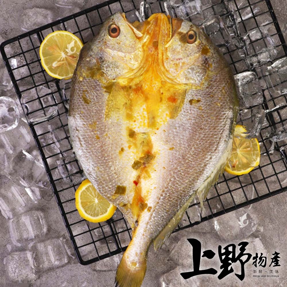 【上野物產 】嚴選黃魚一夜干(210g±10%/隻) x9隻