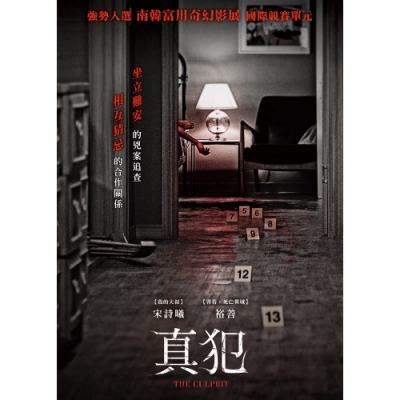 真犯 DVD