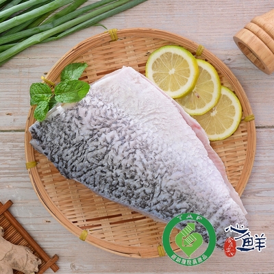 任-心鮮 產銷履歷金目鱸魚片(250g/片)