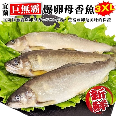 【海陸管家】特選宜蘭巨無霸3xl爆卵母香魚2盒(每盒3-5尾/約920g)