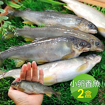 築地一番鮮-宜蘭帶卵小香魚2盒(11-17尾裝/920g/盒)免運組