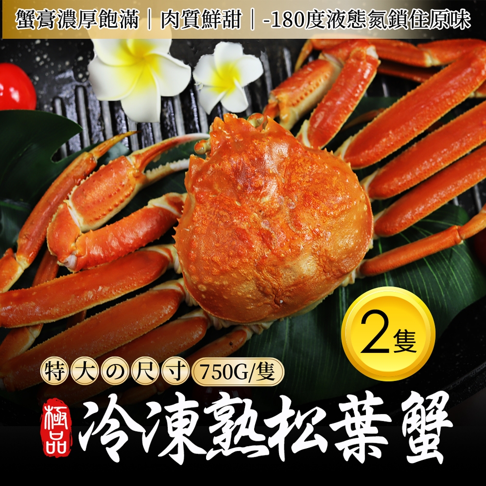 特大1枚（900g〜1kg前後）　蟹》　※2023年11月〜2024年3月発送予定《かに　通販　鳥取県北栄町　カニ　ふるさと納税　タグ付き松葉ガニ