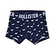 Hollister HCO  男性 內褲 藍色 1686 product thumbnail 1