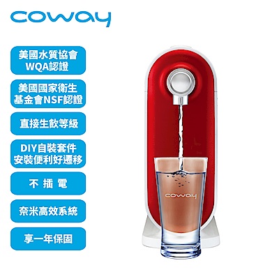 【Coway】奈米高效淨水器P-250N DIY自裝組