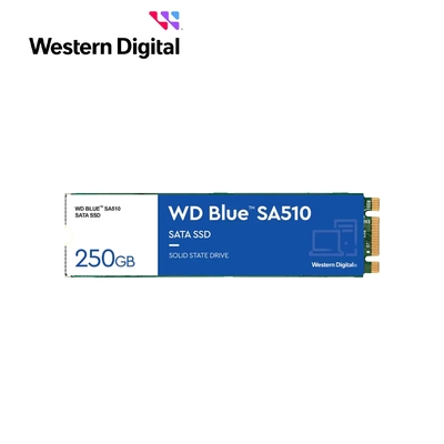 WD 藍標 SA510 250GB M.2 2280 SATA SSD