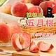 黑貓嚴選 周家農場 五月桃(10粒/2.4台斤/盒)含盒重 product thumbnail 1