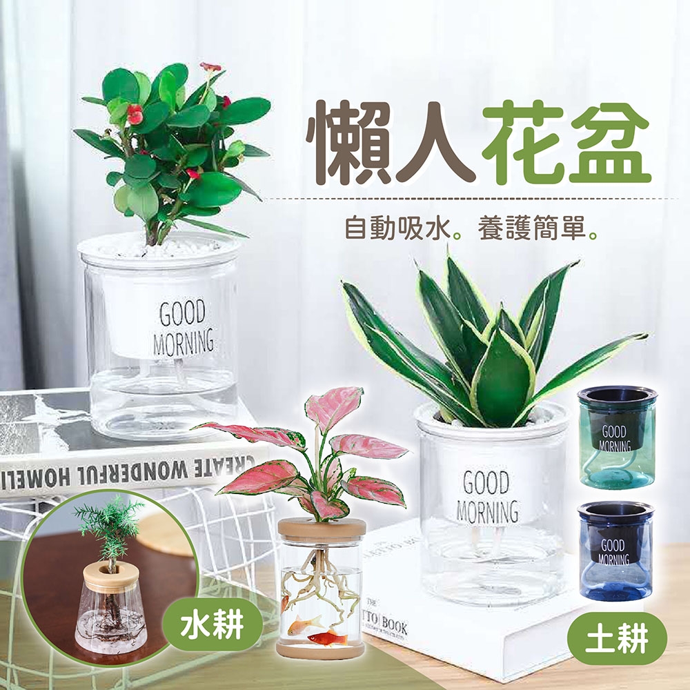 【178小舖】懶人花盆 4入組 水耕/土耕｜自動吸水花盆 吸水花盆 透明花盆 水培花盆 花盆 塑膠盆 植物花盆