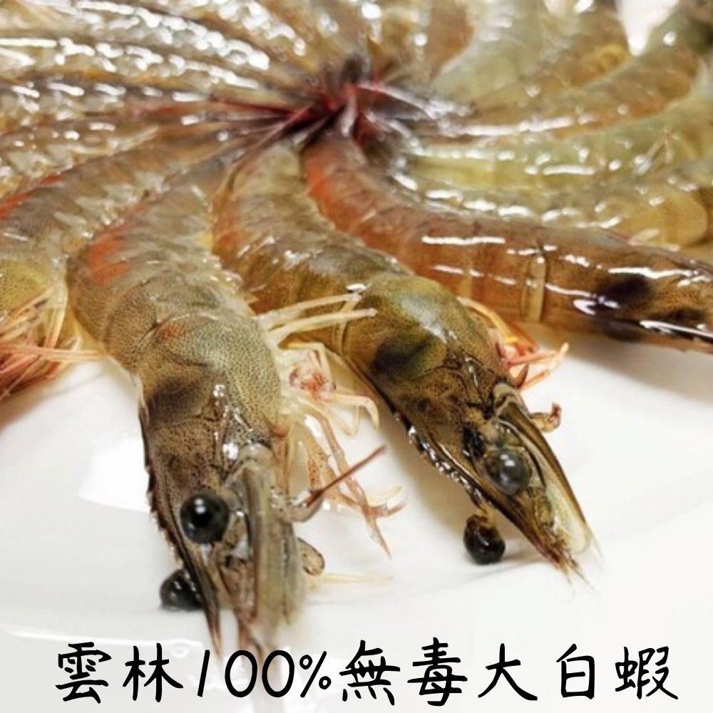 【肉食煮易】雲林100%無毒大白蝦300g (14-16支/包)