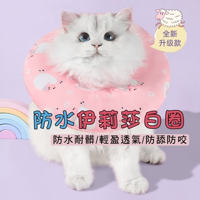 Ｍamy Pets 萌寵防水伊莉莎白圈。防護頸圈 / M