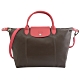 LONGCHAMP Le Pliage Cuir拼色小羊皮兩用手提包(深咖/中) product thumbnail 1