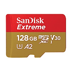 SanDisk 128GB V30 A2