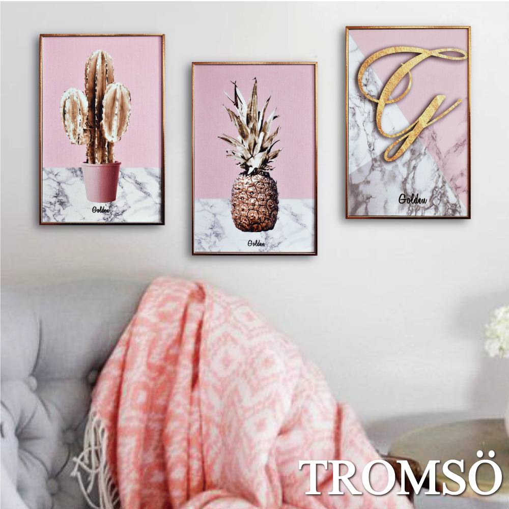 TROMSO 北歐生活版畫有框畫-粉紅金鑽WA59(三幅一組)