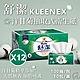 Kleenex 舒潔 特級舒適洋甘菊抽取衛生紙 90抽x10包/串-12串組 product thumbnail 1