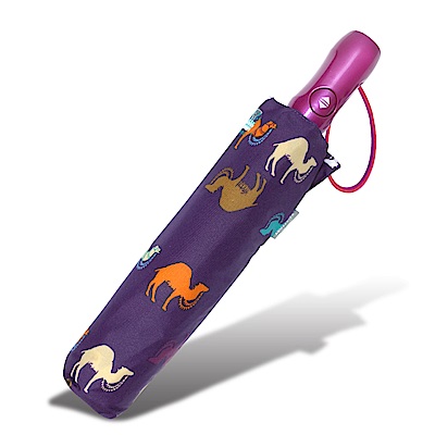 RAINSTORY 彩色駱駝抗UV雙人自動傘(紫)
