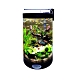 派樂大亨 創意無限生態水族缸魚缸(送LED燈+過濾器) product thumbnail 3