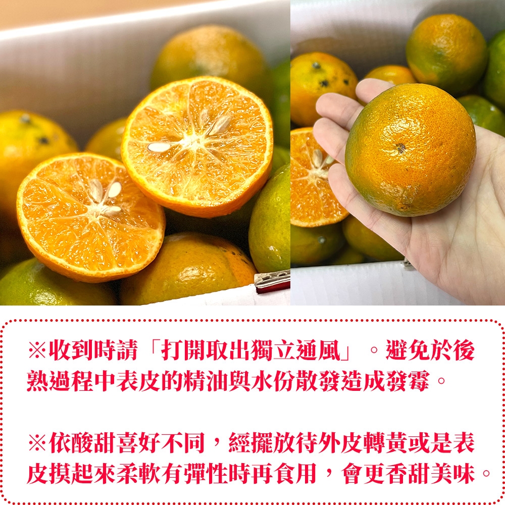 [甜露露]台灣爆汁佛利蒙柑5斤(23-27入)
