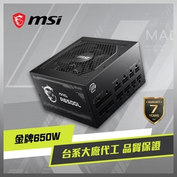 MSI微星 MAG A650GL 電源供應器