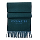 COACH 新款喀什米爾混羊毛雙色圍巾(藍/綠) product thumbnail 1