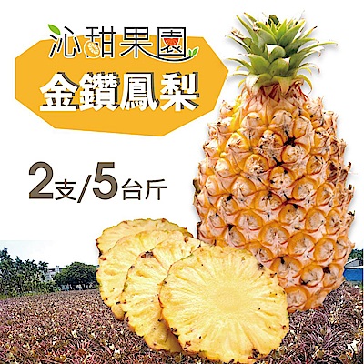 沁甜果園SSN 金鑽鳳梨2支裝/5台斤