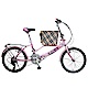 BIKEDNA JY21 PET 20吋21速SHIMANO進階版多功能寵物車/折疊車 product thumbnail 5