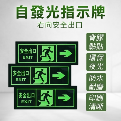 逃生指示燈 2入 自發光指示牌 提示牌 疏散通道 逃生夜光貼 夜光 消防標識牌 疏散方向 PSE31