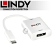 LINDY 林帝 主動式 USB3.1 Type-C to DP轉接器 (43245) product thumbnail 1